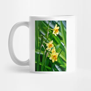 Daffodils Mug